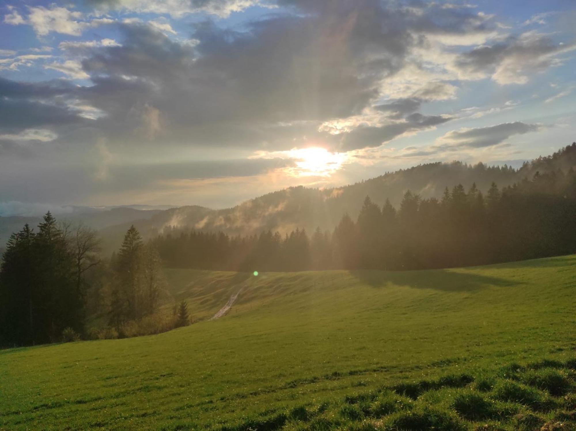 Sonnen-Juwel - Hallenbad-Sauna-2 Getrennte Schlafbereiche-Direkt An Der Skipiste Missen Wilhams Bagian luar foto