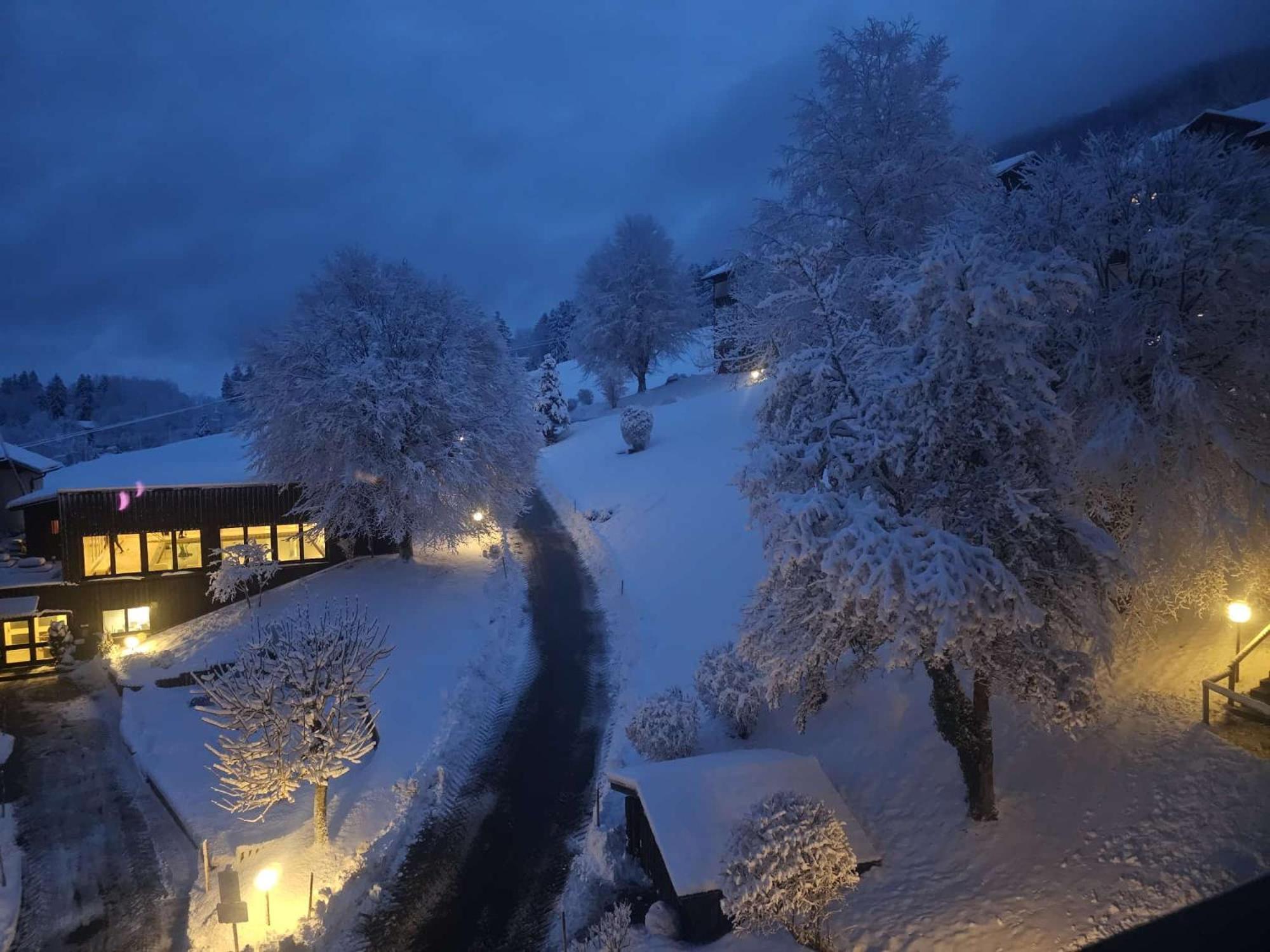Sonnen-Juwel - Hallenbad-Sauna-2 Getrennte Schlafbereiche-Direkt An Der Skipiste Missen Wilhams Bagian luar foto